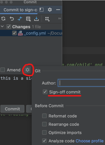 IntelliJ配置sign-off截图